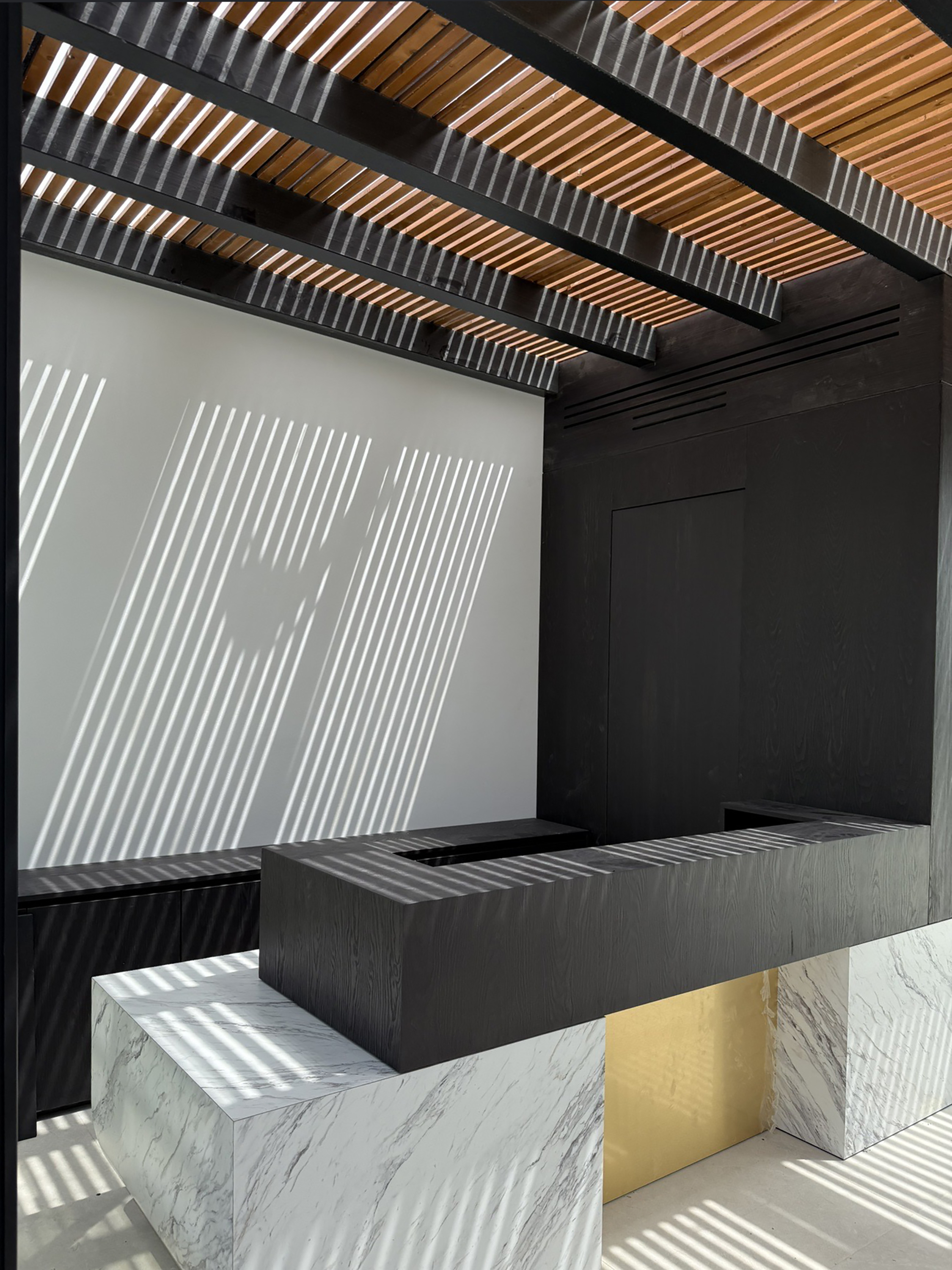Hotel Reception - Interior design project by Ilia Dabiza - Architectural Precision