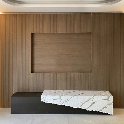 Wall Cover & TV